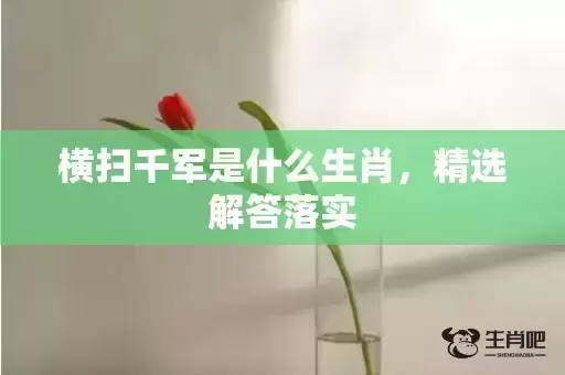 横扫千军是什么生肖，精选解答落实