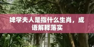 婢学夫人是指什么生肖，成语解释落实