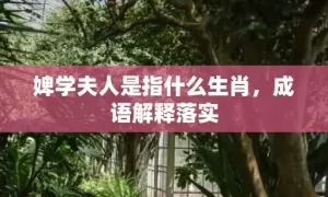 婢学夫人是指什么生肖，成语解释落实