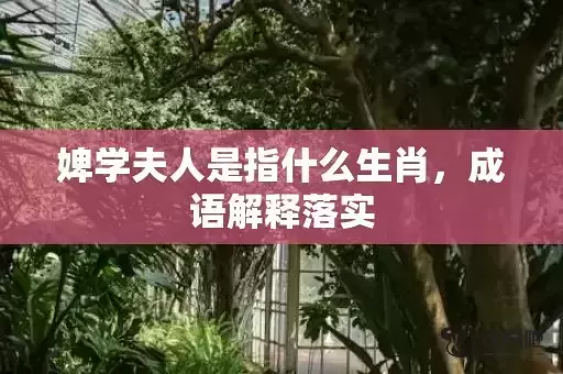 婢学夫人是指什么生肖，成语解释落实