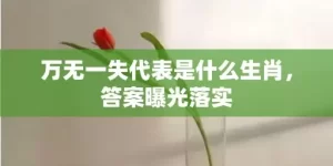 万无一失代表是什么生肖，答案曝光落实