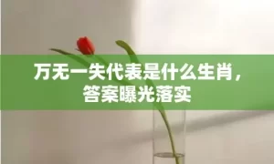 万无一失代表是什么生肖，答案曝光落实