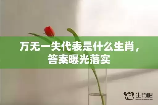 万无一失代表是什么生肖，答案曝光落实