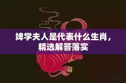 婢学夫人是代表什么生肖，精选解答落实