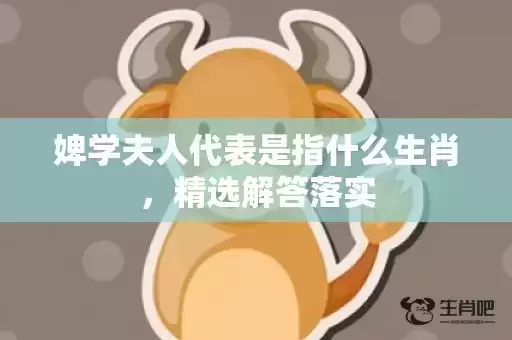 婢学夫人代表是指什么生肖，精选解答落实