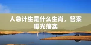 人急计生是什么生肖，答案曝光落实