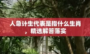 人急计生代表是指什么生肖，精选解答落实