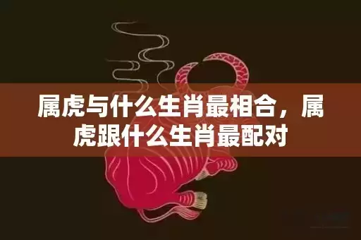 属虎与什么生肖最相合，属虎跟什么生肖最配对