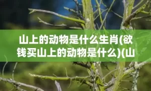 山上的动物是什么生肖(欲钱买山上的动物是什么)(山上称王是什么动物)