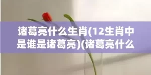 诸葛亮什么生肖(12生肖中是谁是诸葛亮)(诸葛亮什么生肖?)