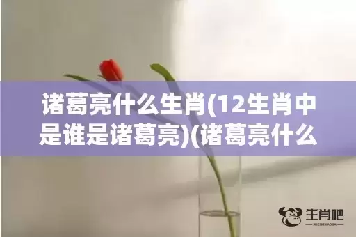 诸葛亮什么生肖(12生肖中是谁是诸葛亮)(诸葛亮什么生肖?) 诸葛亮什么生肖(12生肖中是谁是诸葛亮)(诸葛亮什么生肖?)