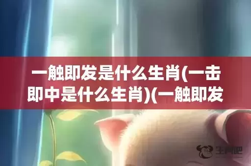 一触即发是什么生肖(一击即中是什么生肖)(一触即发是什么意思?)