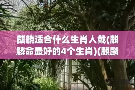 麒麟适合什么生肖人戴(麒麟命最好的4个生肖)(麒麟适合什么生肖人戴貔貅呢)