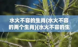 水火不容的生肖(水火不容的两个生肖)(水火不容的生肖有哪些)