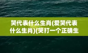 哭代表什么生肖(爱哭代表什么生肖)(哭打一个正确生肖)