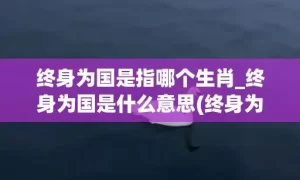 终身为国是指哪个生肖_终身为国是什么意思(终身为国是指什么生肖)