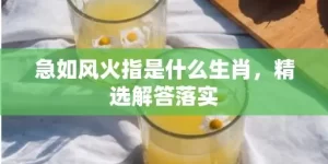 急如风火指是什么生肖，精选解答落实