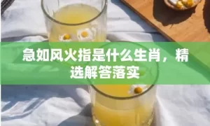 急如风火指是什么生肖，精选解答落实