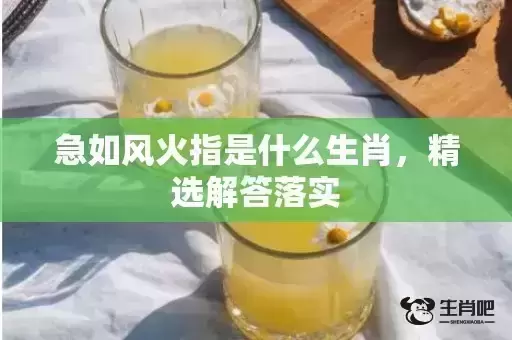 急如风火指是什么生肖，精选解答落实