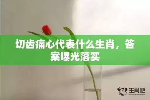 切齿痛心代表什么生肖，答案曝光落实