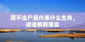 足不出户是代表什么生肖，成语解释落实