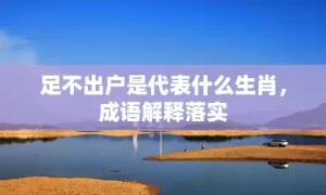 足不出户是代表什么生肖，成语解释落实