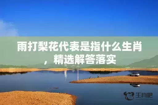 雨打梨花代表是指什么生肖，精选解答落实