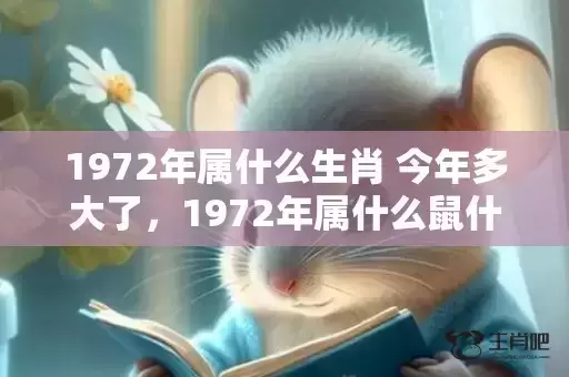 1972年属什么生肖 今年多大了，1972年属什么鼠什么命