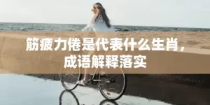 筋疲力倦是代表什么生肖，成语解释落实