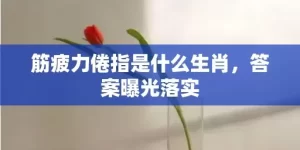 筋疲力倦指是什么生肖，答案曝光落实