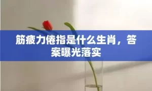 筋疲力倦指是什么生肖，答案曝光落实