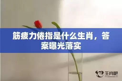 筋疲力倦指是什么生肖,答案曝光落实 筋疲力倦指是什么生肖,答案曝光落实