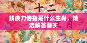 筋疲力倦指是什么生肖，精选解答落实