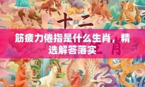 筋疲力倦指是什么生肖，精选解答落实