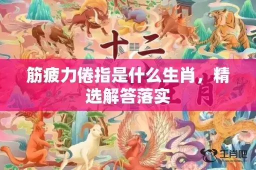 筋疲力倦指是什么生肖，精选解答落实