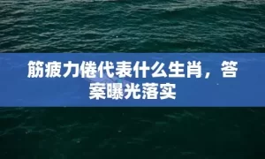 筋疲力倦代表什么生肖，答案曝光落实