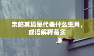 亲临其境是代表什么生肖，成语解释落实