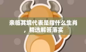 亲临其境代表是指什么生肖，精选解答落实