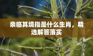 亲临其境指是什么生肖，精选解答落实