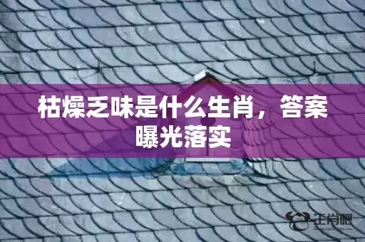 枯燥乏味是什么生肖，答案曝光落实