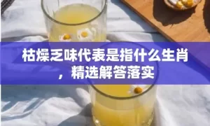 枯燥乏味代表是指什么生肖，精选解答落实