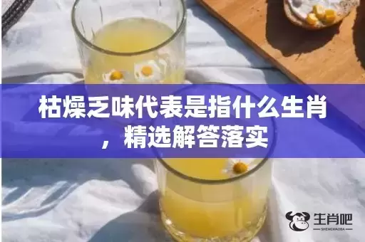 枯燥乏味代表是指什么生肖，精选解答落实
