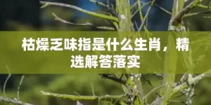 枯燥乏味指是什么生肖，精选解答落实