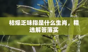 枯燥乏味指是什么生肖，精选解答落实