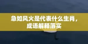 急如风火是代表什么生肖，成语解释落实