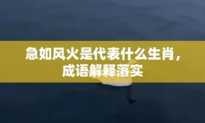 急如风火是代表什么生肖，成语解释落实