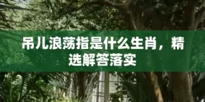 吊儿浪荡指是什么生肖，精选解答落实