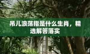 吊儿浪荡指是什么生肖，精选解答落实