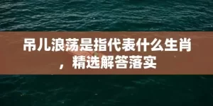 吊儿浪荡是指代表什么生肖，精选解答落实