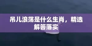 吊儿浪荡是什么生肖，精选解答落实